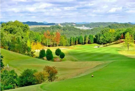 Upgrade Your Golf Bag This Season with Ask Echo: Spacious, Silent, and Feature-Packed