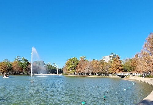 2025’s Must-Have Golf Bag: Lightweight, Silent & Super Organized