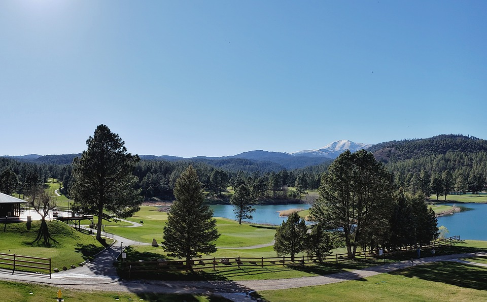 2025 Best Silent Golf Bag: AskEcho T-Lock Review & Real Course Experience