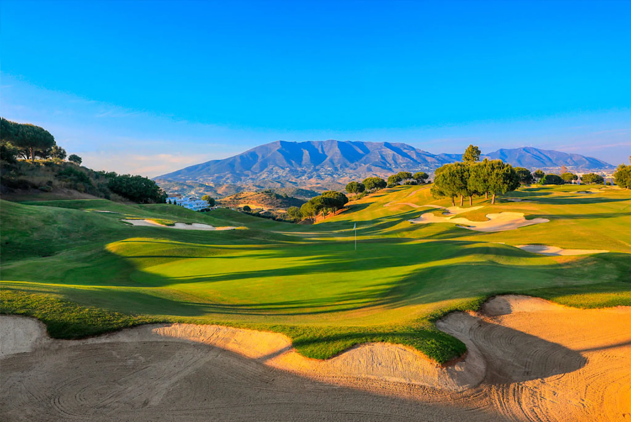 The Best Golf Bag of 2025: Quiet, Spacious, and Built for Every Golfer