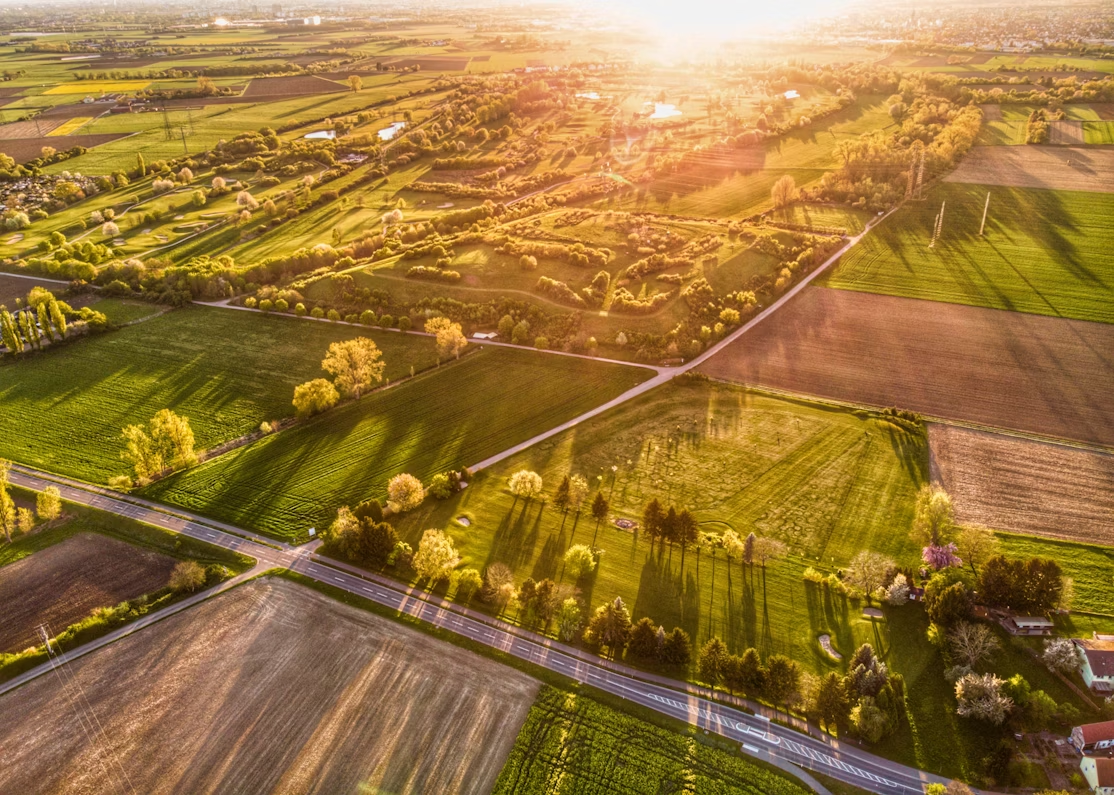 The Ultimate Golf Bag for 2025: Silence, Style, and Smart Design with AskEcho