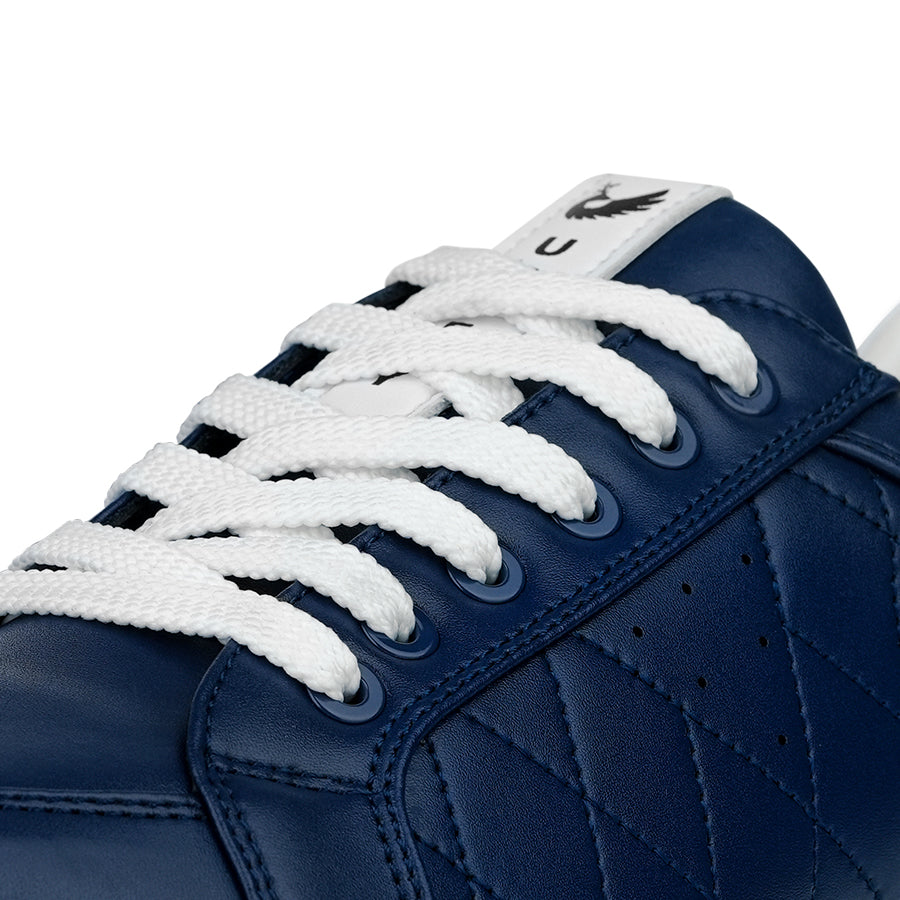Ask Echo G2 Men's Professional Leather Golf Shoes  / Blue